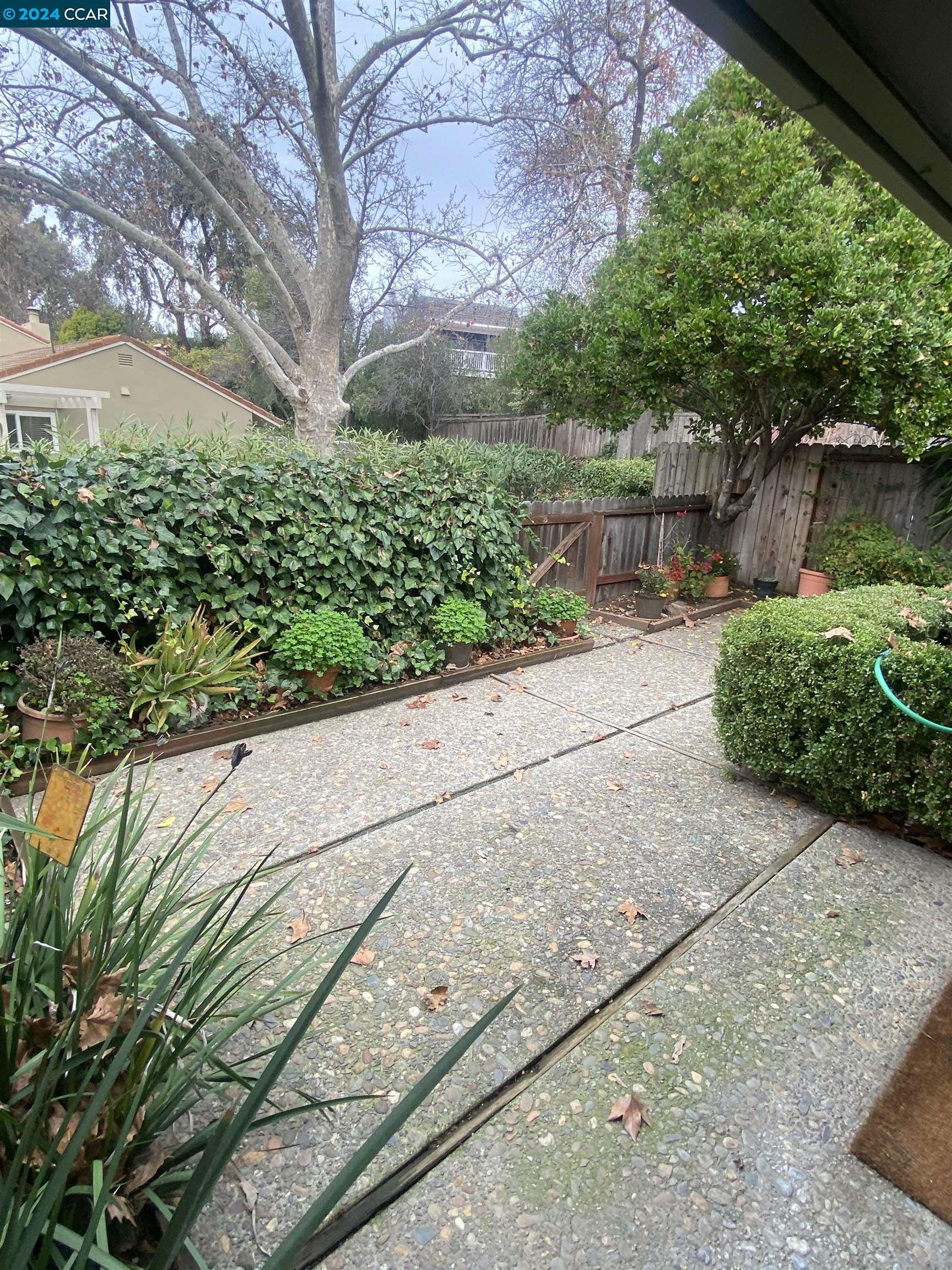 506 Tampico Walnut Creek, CA 94598 - Photo 31 of 32 a backyard of a house with lots of green space