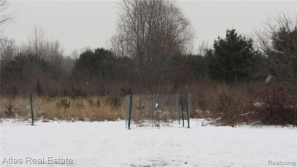 13723 Block Road Birch Run, MI 48415 - Photo 8 of 35