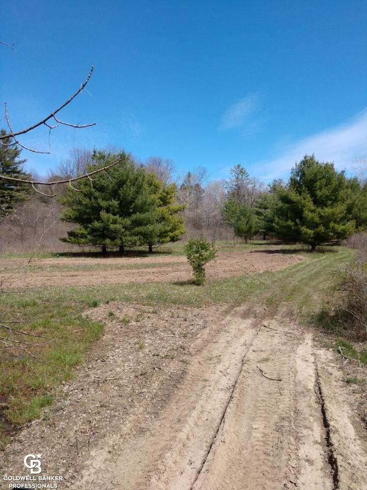 Kilburn Rd Ville Jeddo, MI 48032 - Photo 2 of 11