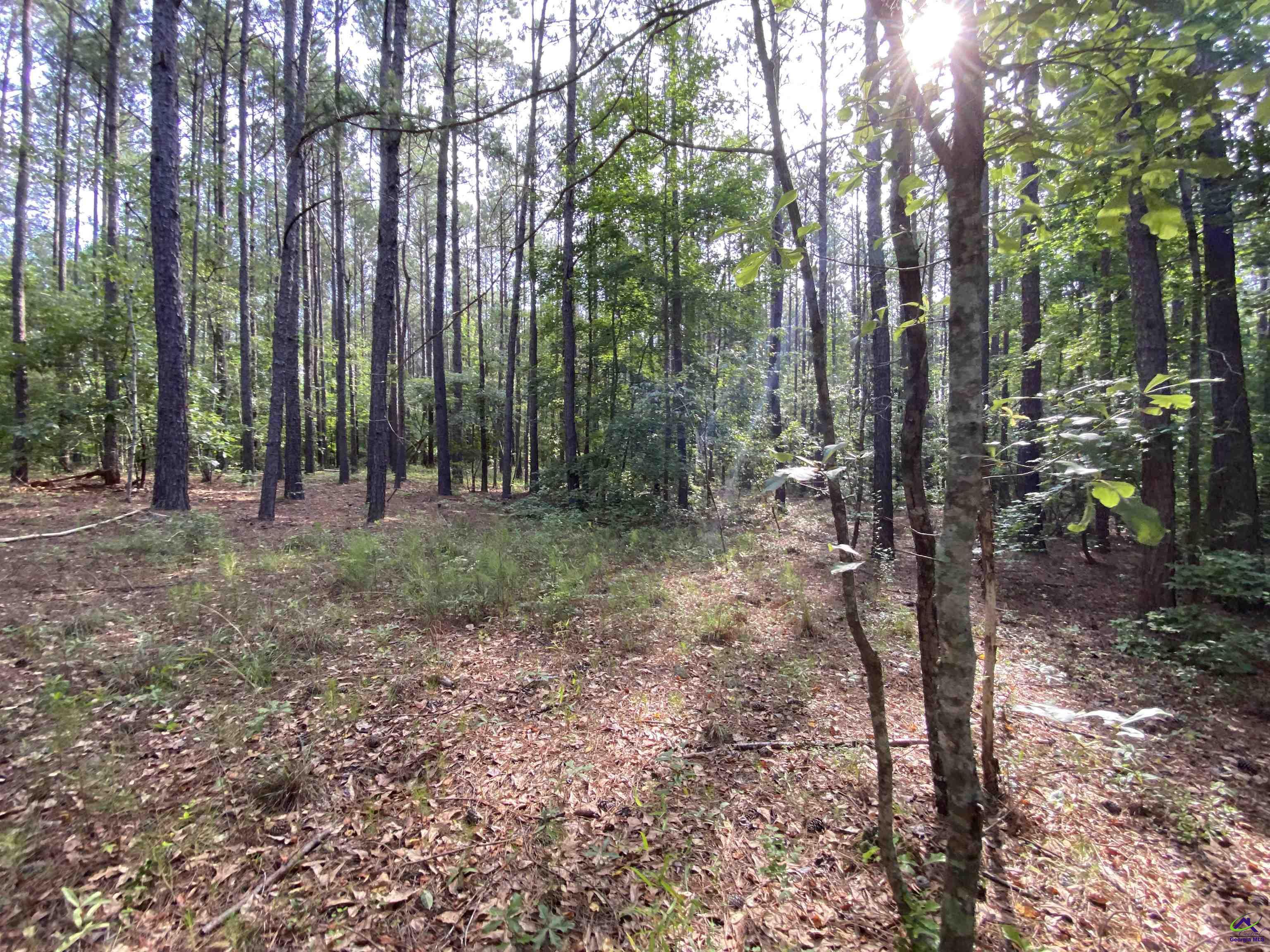 Lot 9 Cherokee Trail Road Eastman, GA 31023 - Photo 2 of 18