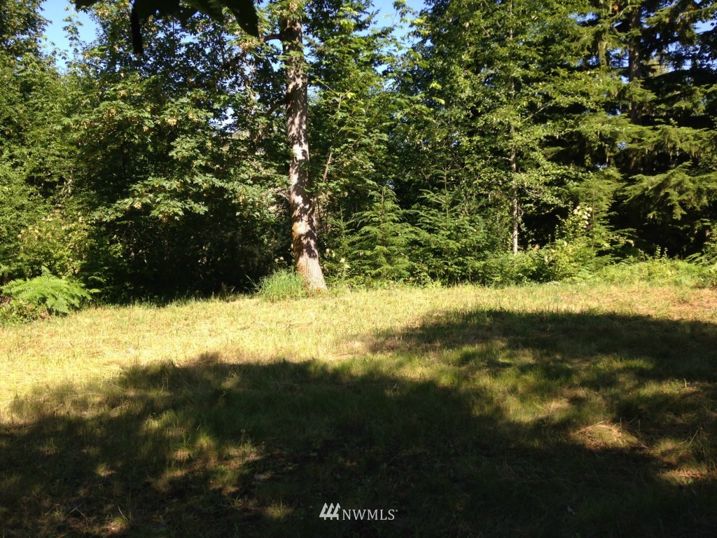 -xxx Lords Lake Loop Road Quilcene, WA 98376 - Photo 2 of 9