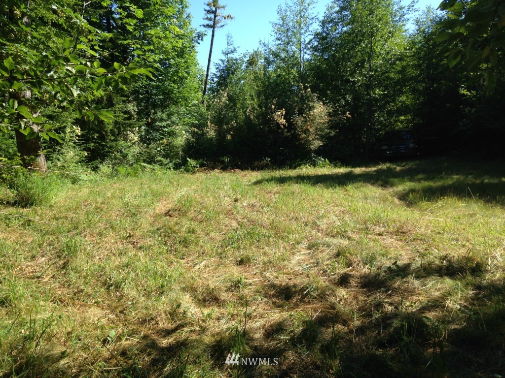 -xxx Lords Lake Loop Road Quilcene, WA 98376 - Photo 3 of 9