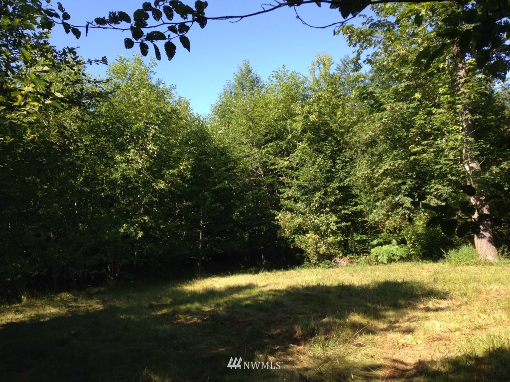 -xxx Lords Lake Loop Road Quilcene, WA 98376 - Photo 4 of 9