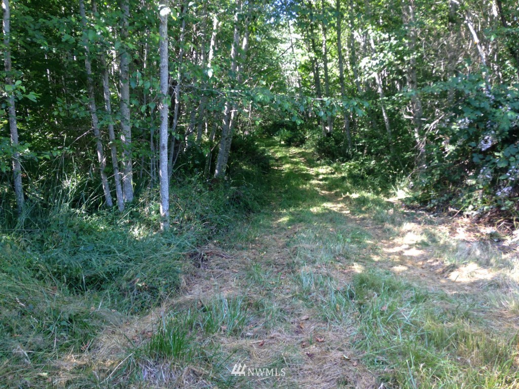 -xxx Lords Lake Loop Road Quilcene, WA 98376 - Photo 5 of 9