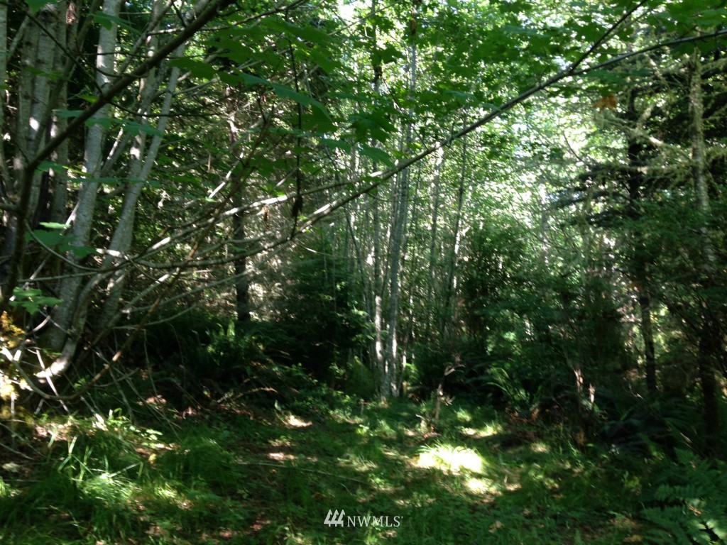-xxx Lords Lake Loop Road Quilcene, WA 98376 - Photo 6 of 9