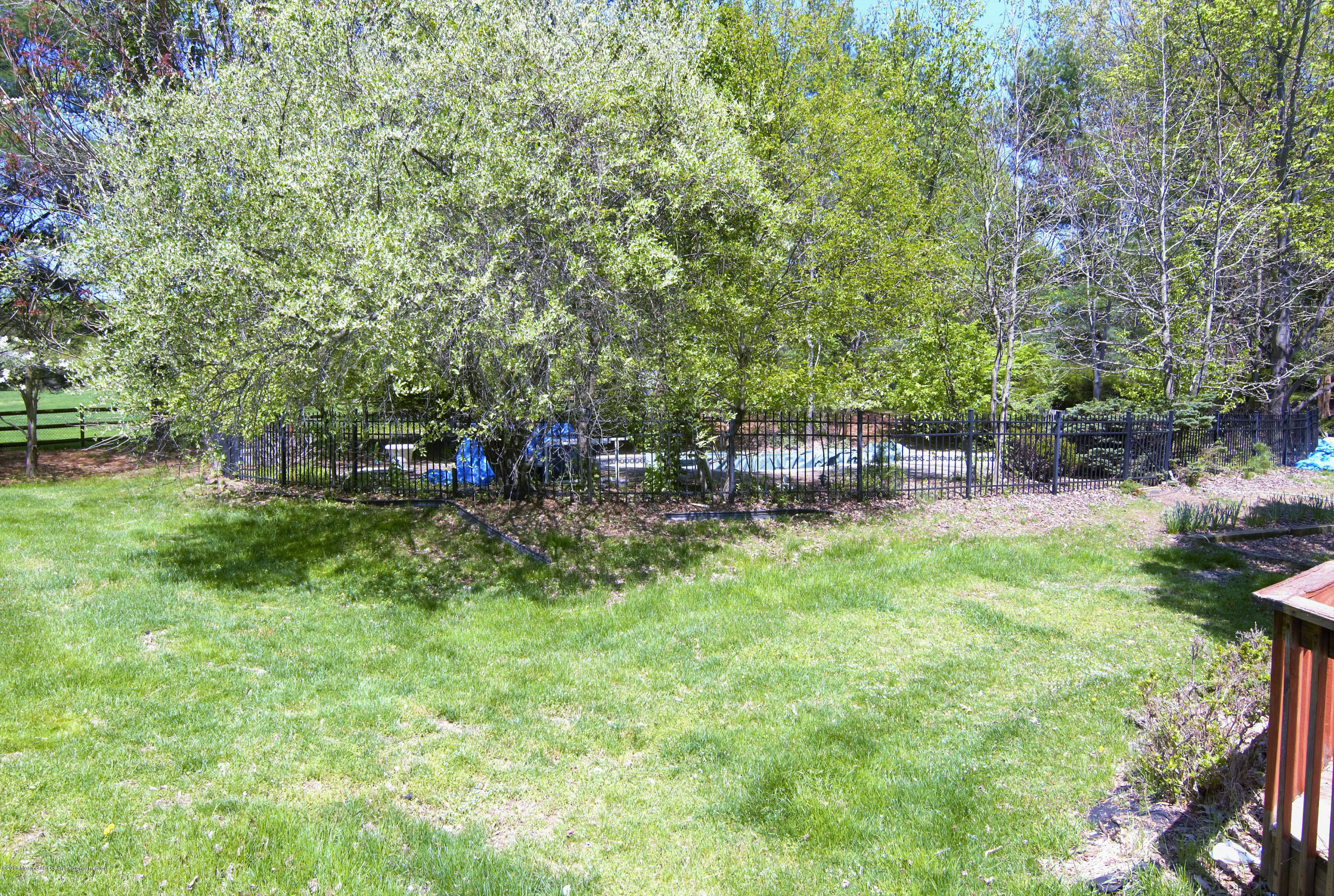 7 Red Hawk Road South Colts Neck, NJ 07722 - Photo 33 of 38 Back Yard Towards Pool