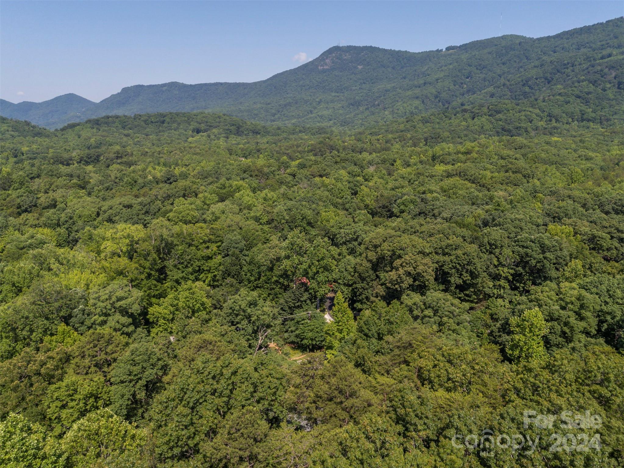 600 Houston Road Columbus, NC 28722 - Photo 33 of 40 Gallery Image 33