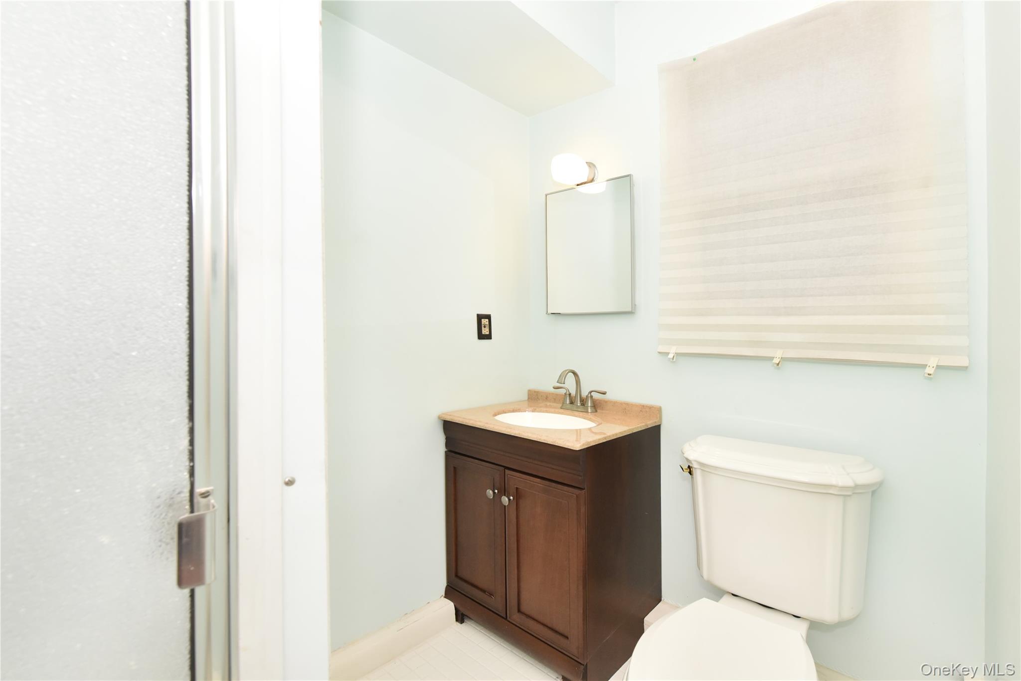 11 Joy Drive Manhasset Hills, NY 11040 - Photo 35 of 41 a bathroom with a toilet a sink and mirror