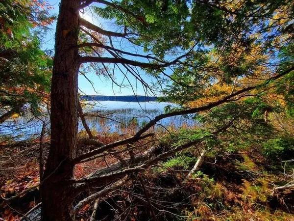 $1,400,000 | 0 Blackcat Pt Drive, Princeton, ME 04668