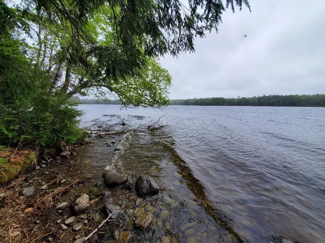 $1,400,000 | 0 Blackcat Pt Drive, Princeton, ME 04668