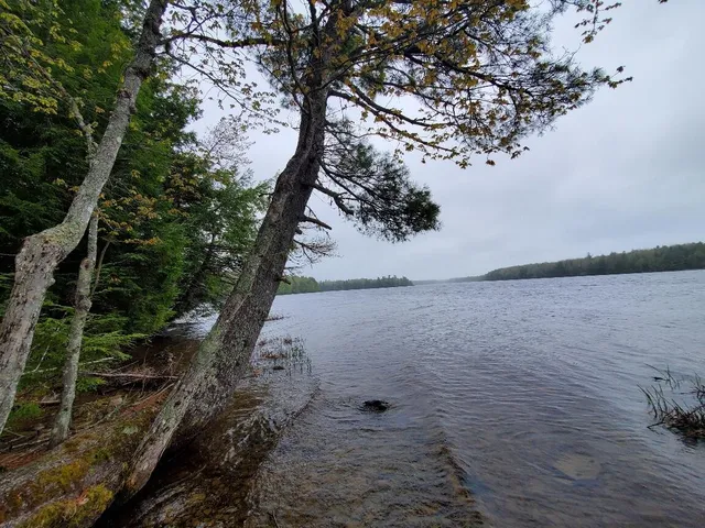 $1,400,000 | 0 Blackcat Pt Drive, Princeton, ME 04668