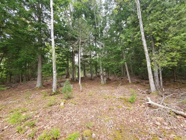 $1,400,000 | 0 Blackcat Pt Drive, Princeton, ME 04668