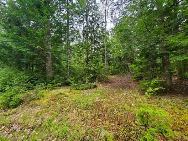 $1,400,000 | 0 Blackcat Pt Drive, Princeton, ME 04668