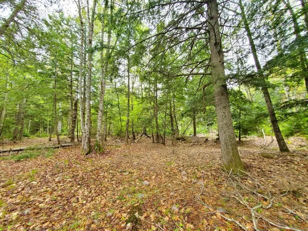 $1,400,000 | 0 Blackcat Pt Drive, Princeton, ME 04668