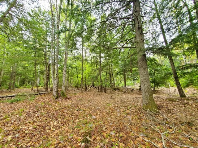 $1,400,000 | 0 Blackcat Pt Drive, Princeton, ME 04668