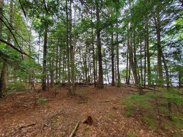 $1,400,000 | 0 Blackcat Pt Drive, Princeton, ME 04668