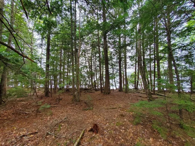 $1,400,000 | 0 Blackcat Pt Drive, Princeton, ME 04668