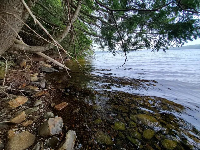 $1,400,000 | 0 Blackcat Pt Drive, Princeton, ME 04668