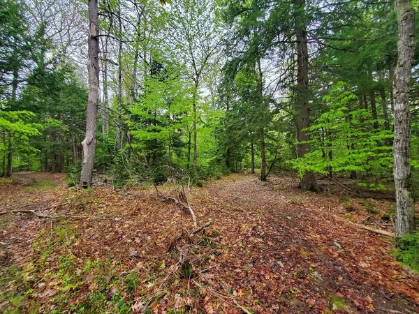 $1,400,000 | 0 Blackcat Pt Drive, Princeton, ME 04668