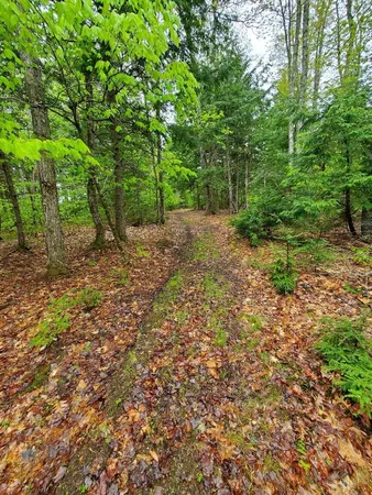 $1,400,000 | 0 Blackcat Pt Drive, Princeton, ME 04668