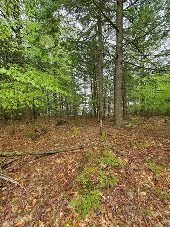 $1,400,000 | 0 Blackcat Pt Drive, Princeton, ME 04668