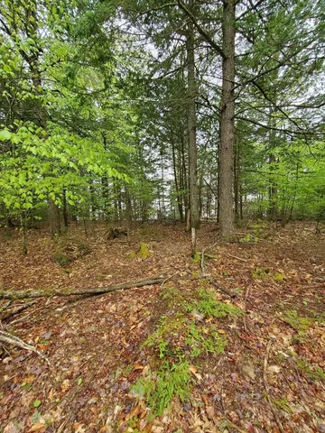 $1,400,000 | 0 Blackcat Pt Drive, Princeton, ME 04668