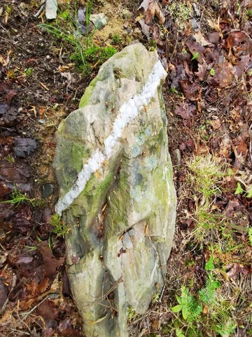 $1,400,000 | 0 Blackcat Pt Drive, Princeton, ME 04668