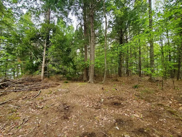 $1,400,000 | 0 Blackcat Pt Drive, Princeton, ME 04668