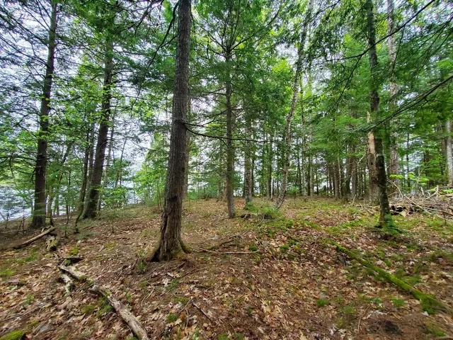 $1,400,000 | 0 Blackcat Pt Drive, Princeton, ME 04668