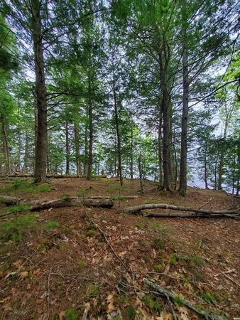 $1,400,000 | 0 Blackcat Pt Drive, Princeton, ME 04668