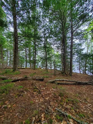 $1,400,000 | 0 Blackcat Pt Drive, Princeton, ME 04668