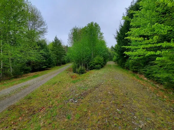 $1,400,000 | 0 Blackcat Pt Drive, Princeton, ME 04668