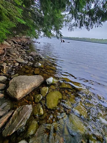 $1,400,000 | 0 Blackcat Pt Drive, Princeton, ME 04668