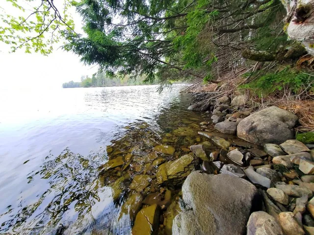 $1,400,000 | 0 Blackcat Pt Drive, Princeton, ME 04668