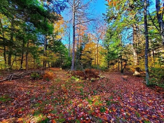 $1,400,000 | 0 Blackcat Pt Drive, Princeton, ME 04668