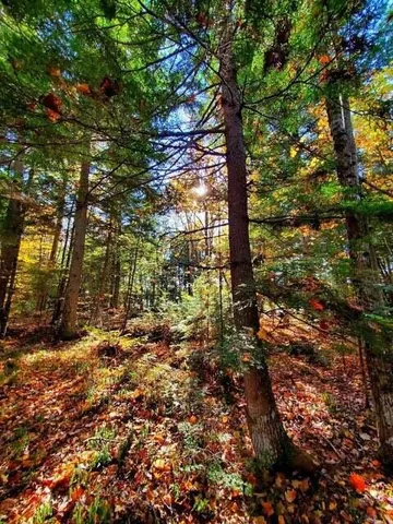 $1,400,000 | 0 Blackcat Pt Drive, Princeton, ME 04668
