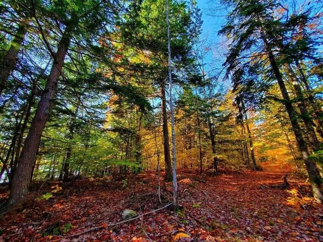 $1,400,000 | 0 Blackcat Pt Drive, Princeton, ME 04668