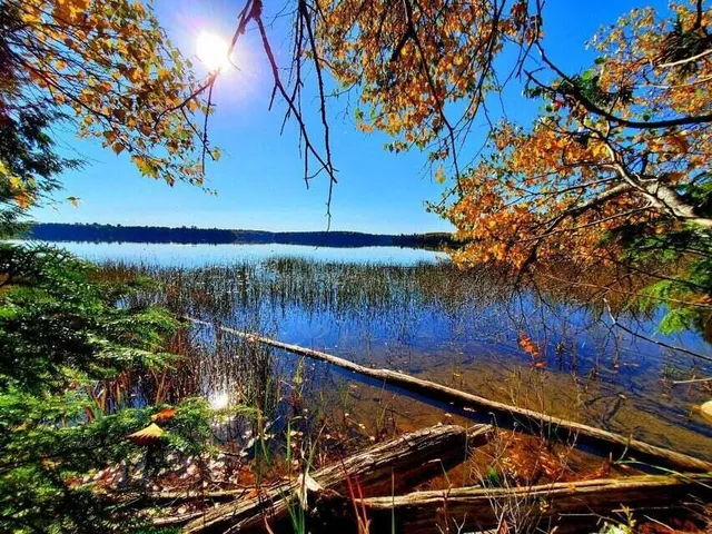 $1,400,000 | 0 Blackcat Pt Drive, Princeton, ME 04668