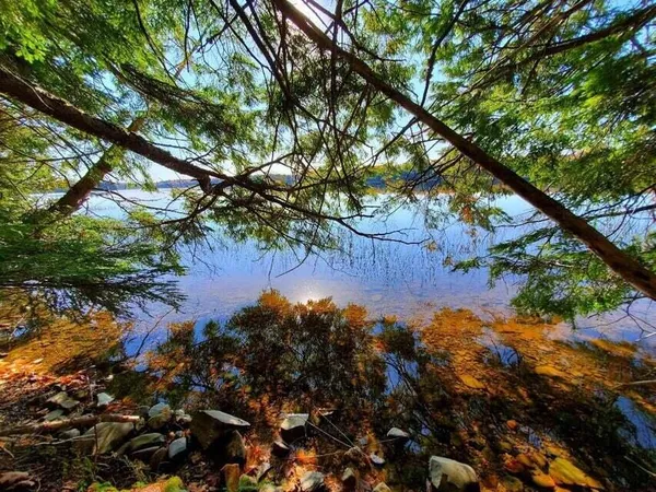 $1,400,000 | 0 Blackcat Pt Drive, Princeton, ME 04668