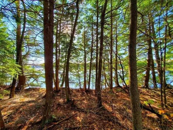$1,400,000 | 0 Blackcat Pt Drive, Princeton, ME 04668