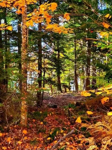 $1,400,000 | 0 Blackcat Pt Drive, Princeton, ME 04668