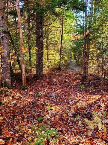 $1,400,000 | 0 Blackcat Pt Drive, Princeton, ME 04668