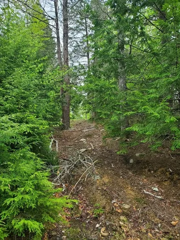 $1,400,000 | 0 Blackcat Pt Drive, Princeton, ME 04668