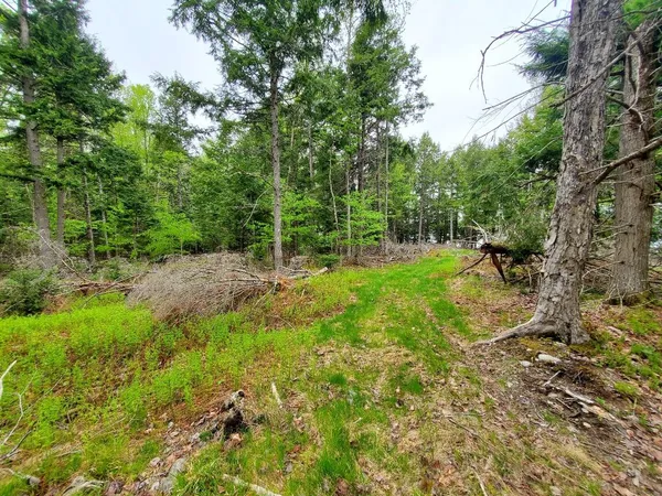 $1,400,000 | 0 Blackcat Pt Drive, Princeton, ME 04668