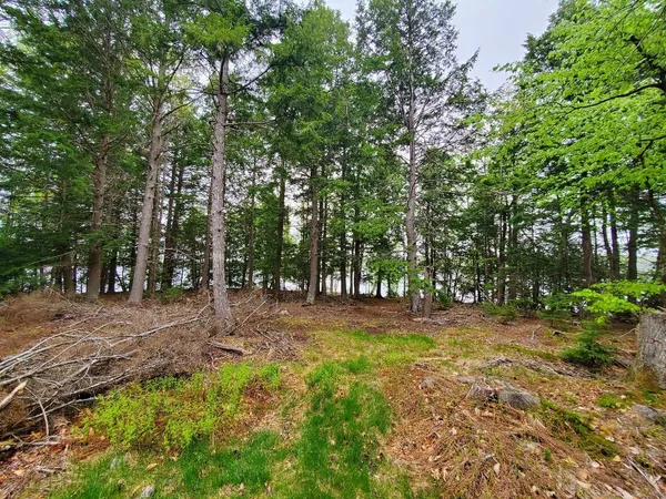$1,400,000 | 0 Blackcat Pt Drive, Princeton, ME 04668