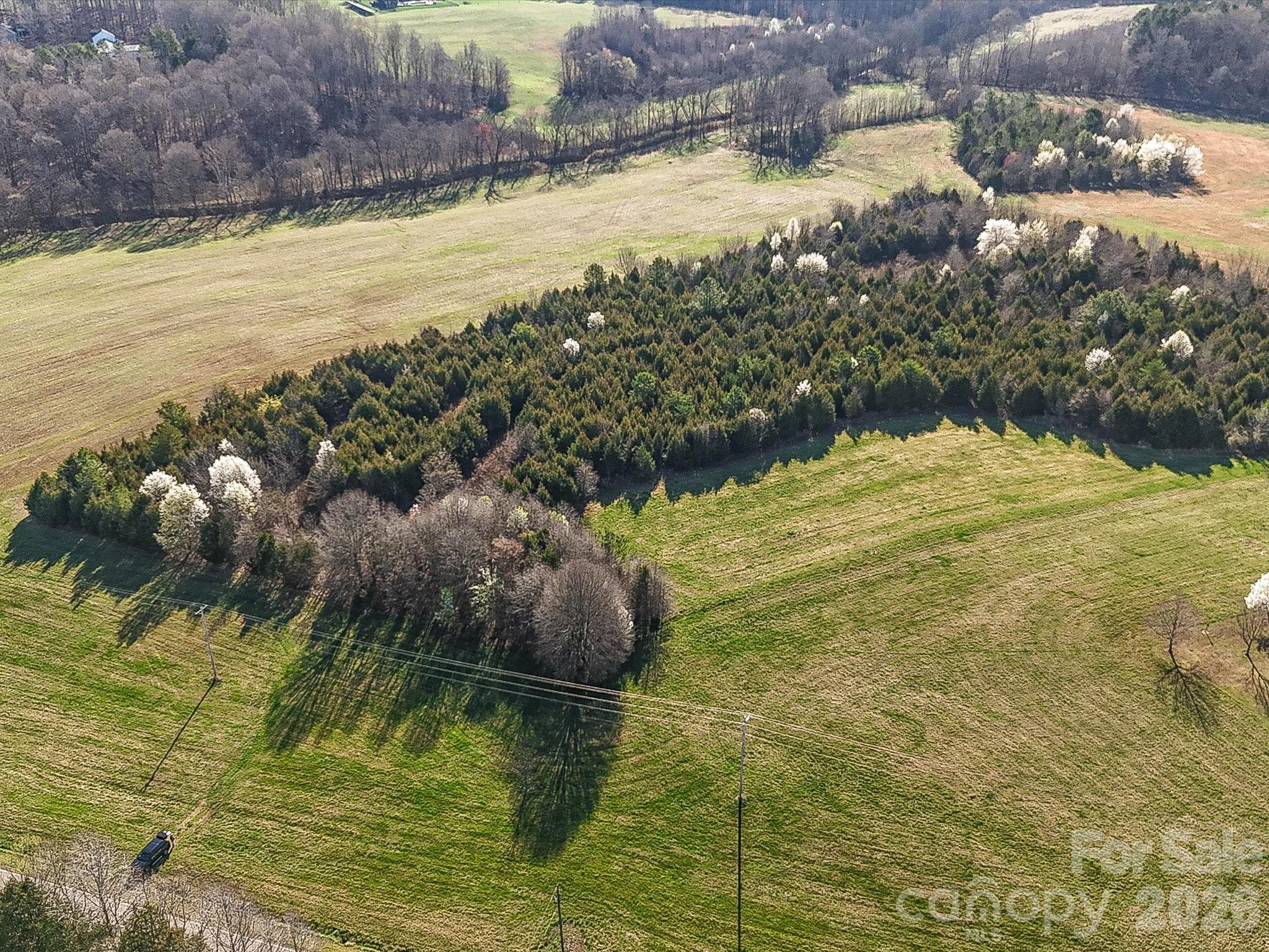 13.32 Patterson Farm Road Mooresville, NC 28115 - Photo 11 of 15 a view of an ocean