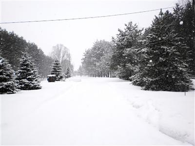 12425 Milks Road Kaleva, MI 49645 - Photo 14 of 15 Additional Photo