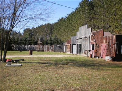 12425 Milks Road Kaleva, MI 49645 - Photo 4 of 15 Additional Photo