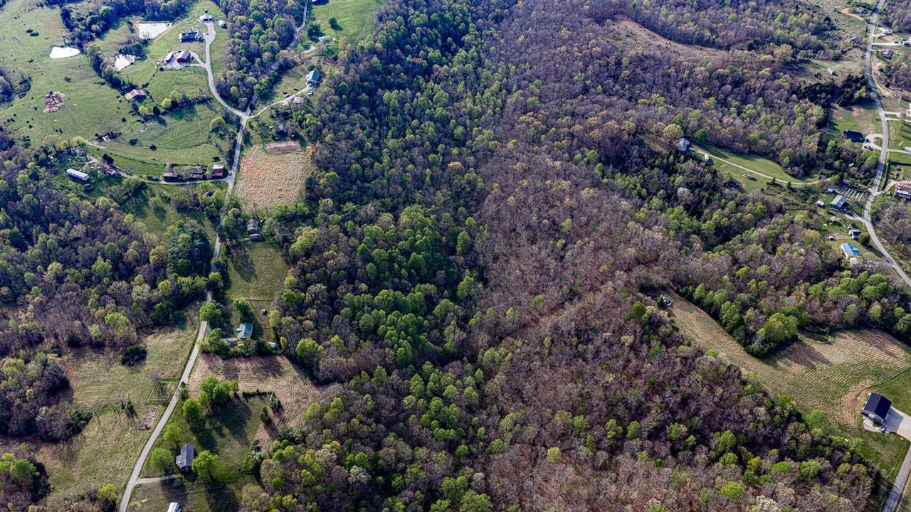 0 Cedar Grove Church Road Bee Spring, KY 42207 - Photo 6 of 9 Gallery Image 6