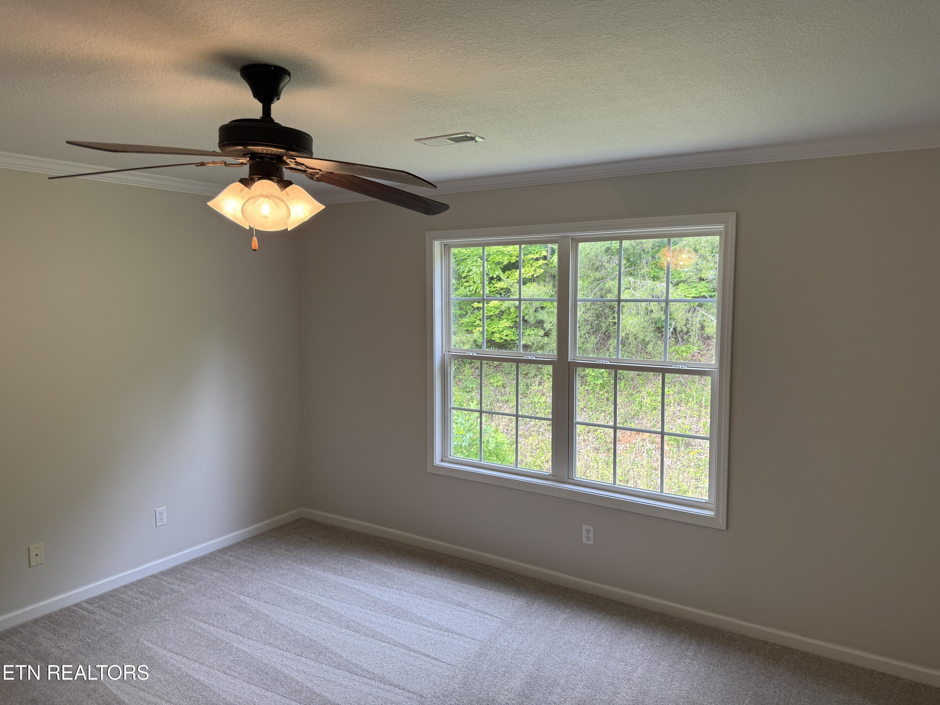 1145 Snyder Ridge Lane Knoxville, TN 37932 - Photo 17 of 36 17